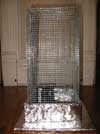 cage[1].jpg